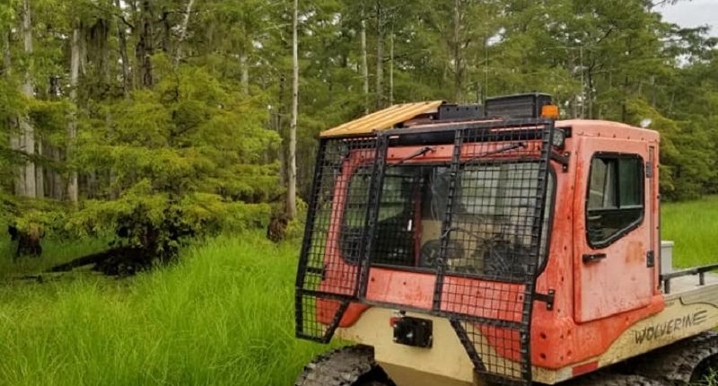 Wetlands Transportation