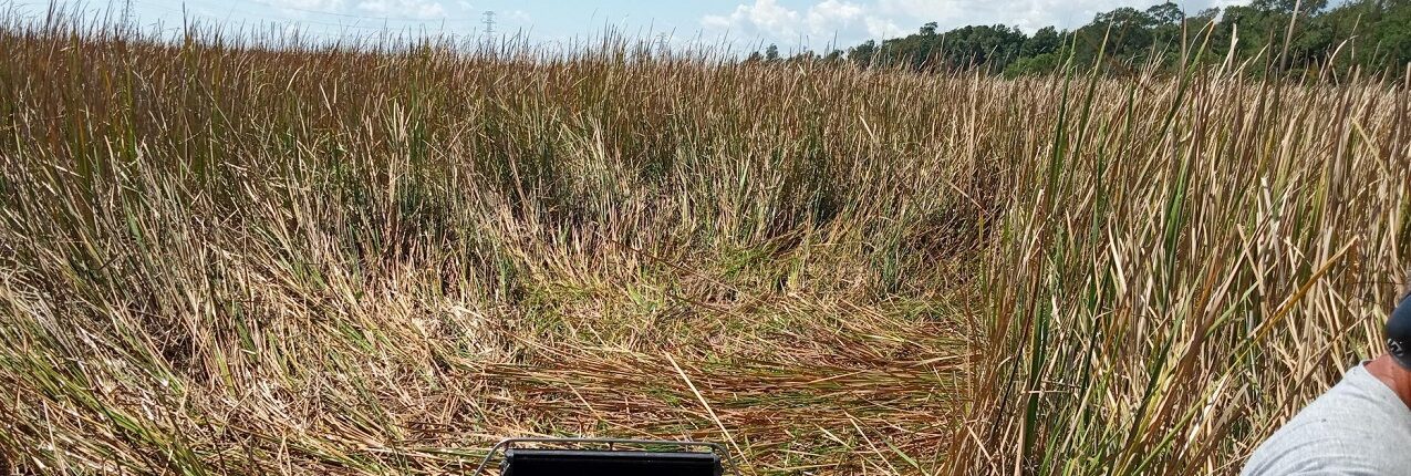 6 Airboat Navigate Marsh - Wetlands Transportation Services